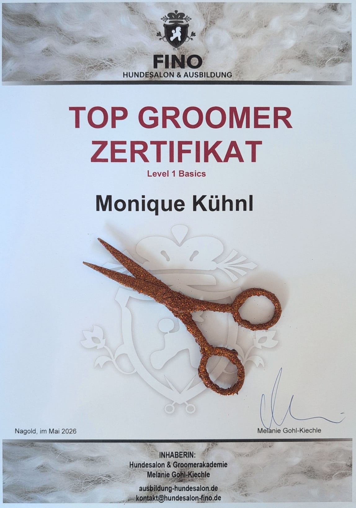 Top Groomer Zertifikat, Level 1 Basics